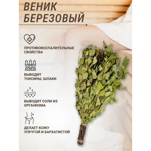 Купить Веник из березы